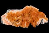 Pink and Orange Bladed Barite - Mibladen, Morocco #103729-1